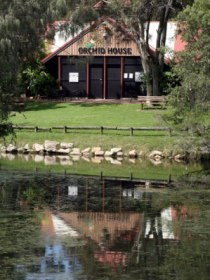 Hervey Bay Botanic Gardens - Accommodation in Brisbane 1