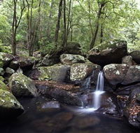 Kangaroo River - Accommodation in Brisbane