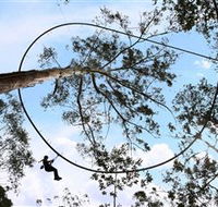 TreeTops Crazy Rider - Accommodation in Brisbane