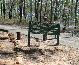 Wild Horse Mountain Lookout - Accommodation in Brisbane 0