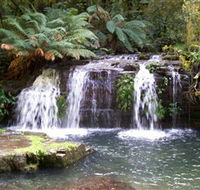 Barrington Tops National Park Walks - Accommodation in Brisbane