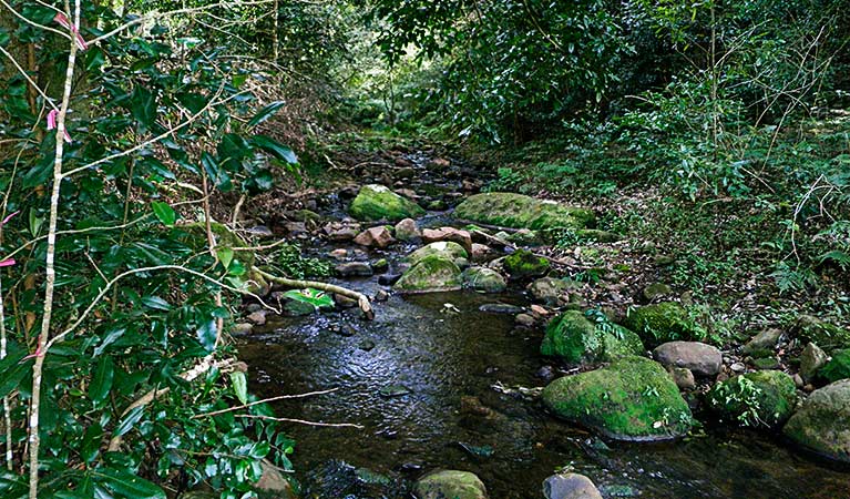 Macquarie Pass NSW Accommodation in Brisbane