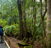 Monga National Park - Accommodation in Brisbane