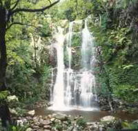Budderoo National Park - The Falls Walk - Accommodation in Brisbane