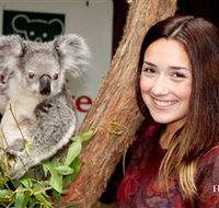 Blackbutt Reserve - Accommodation in Brisbane