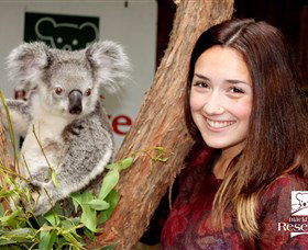 Blackbutt Reserve - Accommodation in Brisbane 0