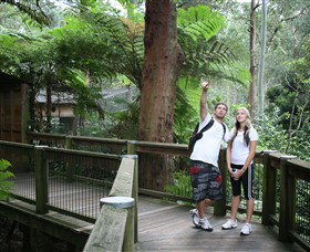 Blackbutt Reserve - Accommodation in Brisbane 1