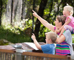 Blackbutt Reserve - Accommodation in Brisbane 4