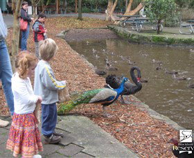Blackbutt Reserve - Accommodation in Brisbane 5