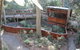 Blackbutt Reserve - thumb 3