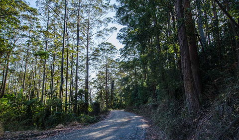 Hastings Forest Way Touring Route - Accommodation in Brisbane 3