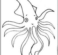 Squid Studio - Accommodation in Brisbane