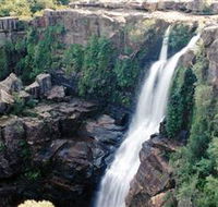 Minnamurra Rainforest Centre Budderoo National Park - Accommodation in Brisbane
