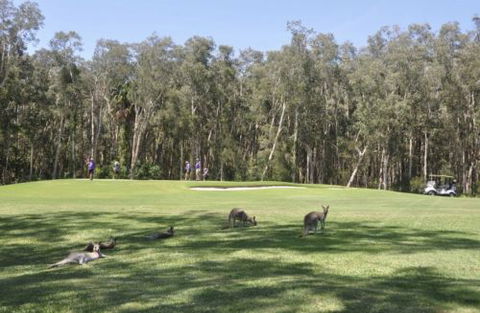 Emerald Downs Golf Course - Accommodation in Brisbane 4