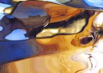Art Aspects Gallery - Accommodation in Brisbane 2