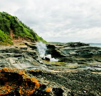 Glenrock State Conservation Area - Accommodation in Brisbane