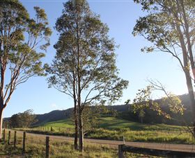 Tourist Drive 2 - Bucketts Way - Accommodation in Brisbane 1