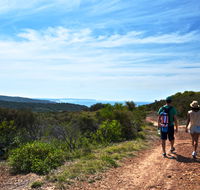 Moonee Beach trail - Accommodation in Brisbane