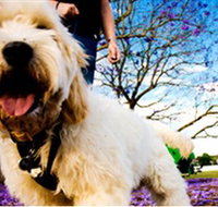 Tuckeroo Park - Accommodation in Brisbane