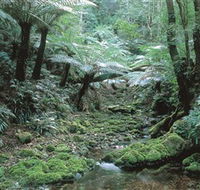 The Corn Trail Walk - Accommodation in Brisbane