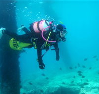 Shellharbour Scuba  Photography Centre - Accommodation in Brisbane