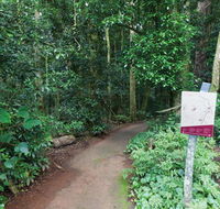 Walk with the Birds boardwalk - Accommodation in Brisbane