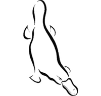 Platypus Gallery - Accommodation in Brisbane