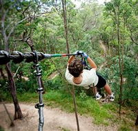 TreeTop Challenge - Accommodation in Brisbane