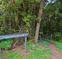 Falcorostrum loop walking track - Accommodation in Brisbane