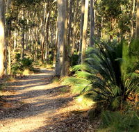 Square Head track 2 - Accommodation in Brisbane