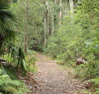 Lake walking track - Accommodation in Brisbane