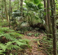 Durras Lake Discovery trail - Accommodation in Brisbane