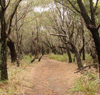 Pretty Beach to Snapper Point walking track - Accommodation in Brisbane