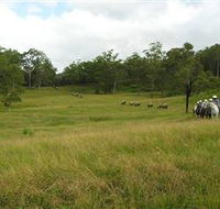 Numinbah Valley Adventure Trails - Accommodation in Brisbane