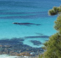 Jervis Bay Marine Park - Accommodation in Brisbane