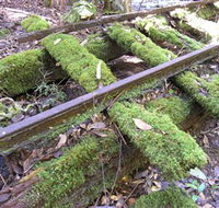 Wootton Historical Railway Walk - Accommodation in Brisbane