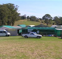 Tinonee Orchid Nursery - Accommodation in Brisbane