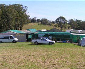 Tinonee Orchid Nursery - Accommodation in Brisbane 0