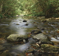 Plateau Circuit loop trail - Accommodation in Brisbane