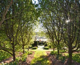 All Saints Garden - Accommodation in Brisbane 4