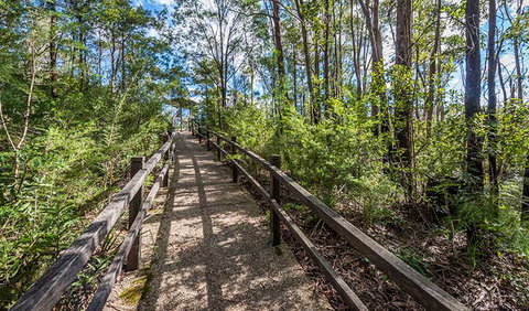 Flat Rock Lookout - Accommodation in Brisbane 2