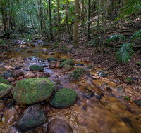 Starrs Creek picnic area - Accommodation in Brisbane