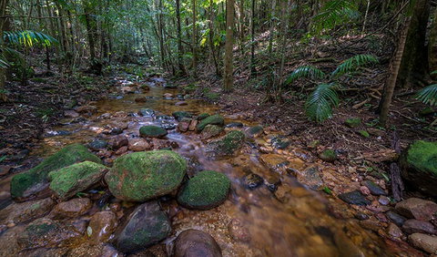 Starrs Creek Picnic Area - Accommodation in Brisbane 0