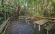 Starrs Creek Picnic Area - thumb 1