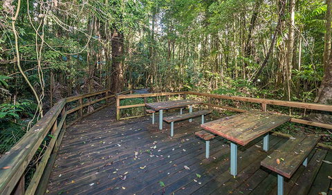 Starrs Creek Picnic Area - Accommodation in Brisbane 1