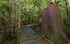 Starrs Creek Picnic Area - thumb 2