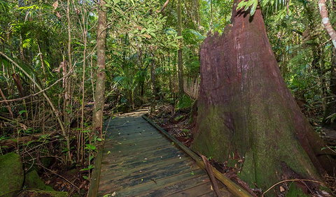 Starrs Creek Picnic Area - Accommodation in Brisbane 2