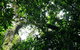 Wollumbin National Park - thumb 1