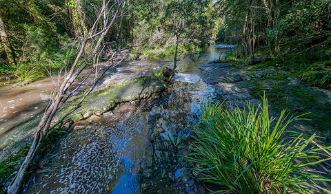 Dawson River Walking Track - Accommodation in Brisbane 0