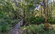 Dawson River Walking Track - thumb 1